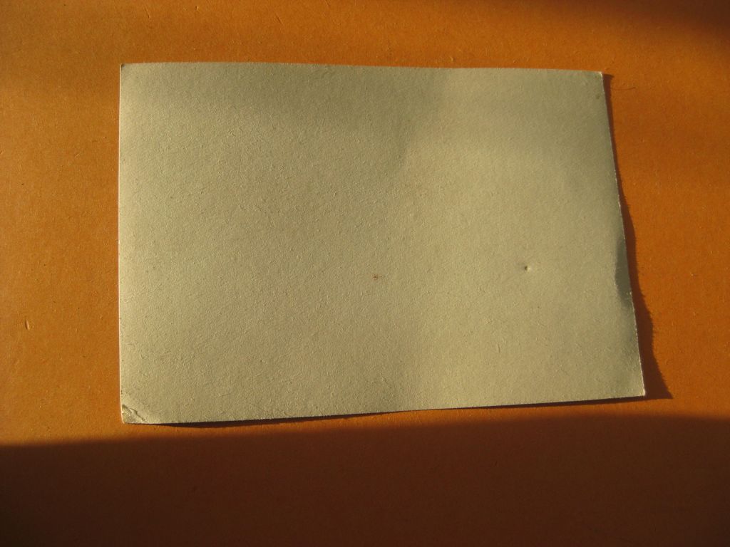 SS - Ärmeladler BEVO für Mannschaften entnazifiziert Effekten der Schutzstaffel 1000% alt und ORIGINAL Waffen-SS Martin Harnack