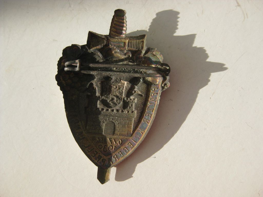 Kameradschaftstreffen pfälzischer Soldaten LANDAU 1930