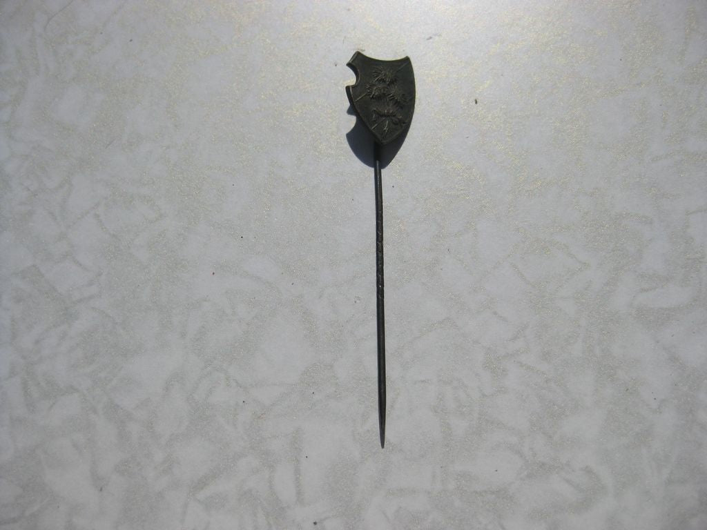 Unbekannter ?????? Gebirgsjäger Edelweiß Regimentsabzeichen Wehrmacht Orden