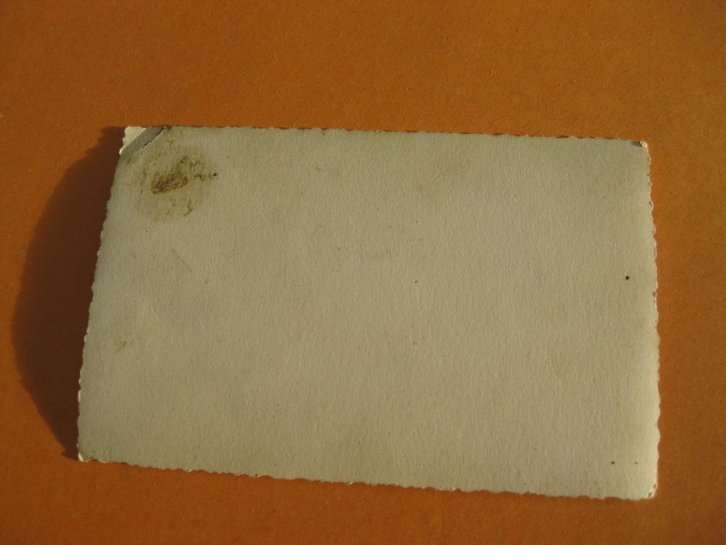 Allgemeine-SS Waffen-SS Privatfoto / Uniformfoto