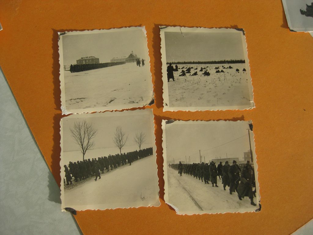 10 versch.  Allgemeine-SS Waffen-SS Privatfoto / Uniformfoto