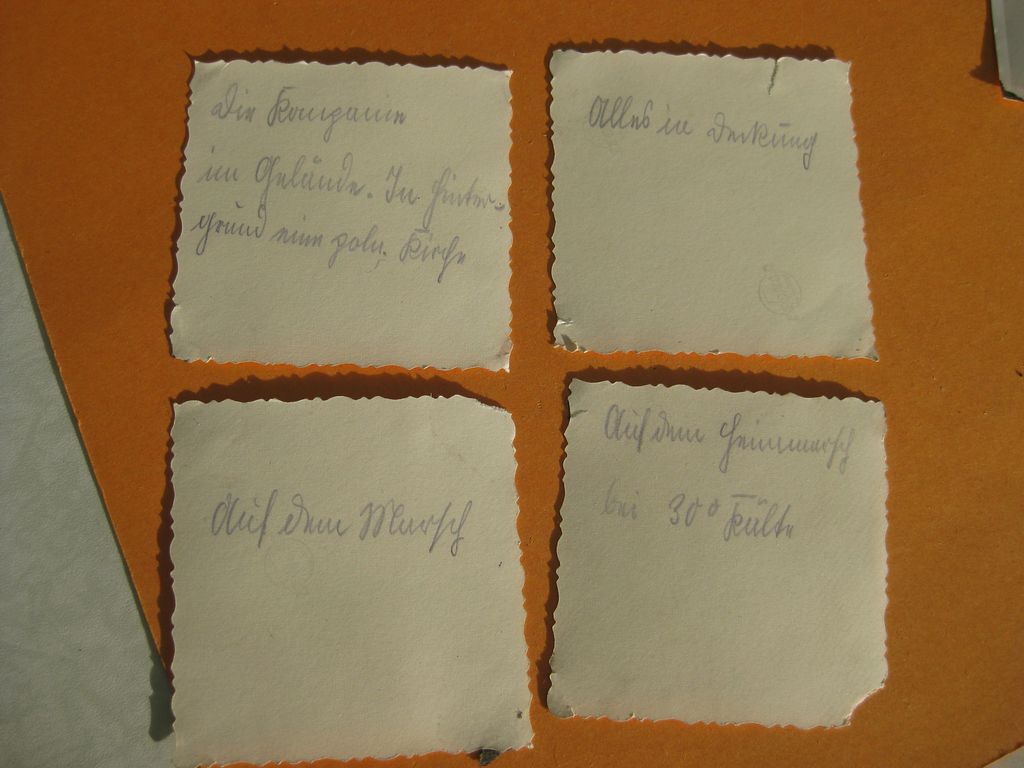 10 versch.  Allgemeine-SS Waffen-SS Privatfoto / Uniformfoto