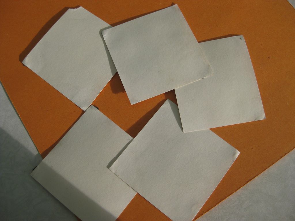 10 versch.  Allgemeine-SS Waffen-SS Privatfoto / Uniformfoto