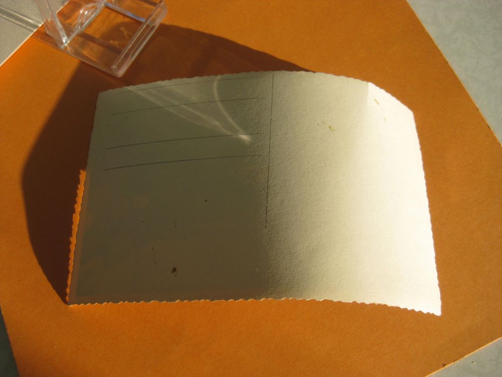 Uniformfoto Luftwaffen Felddivision HG mit HJ-Führersportabzeichen der Wehrmacht 3.Reich