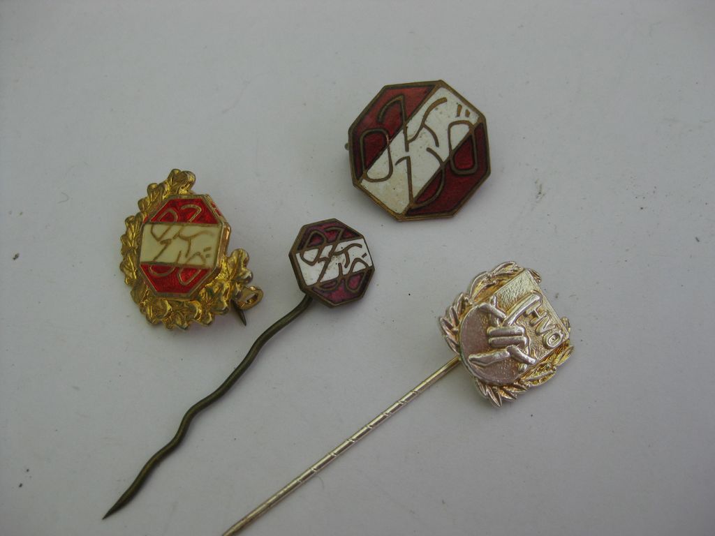 Unbekannter ?????? Orden ???? Österreich österreichisches Abzeichen Mitgliedsnadel