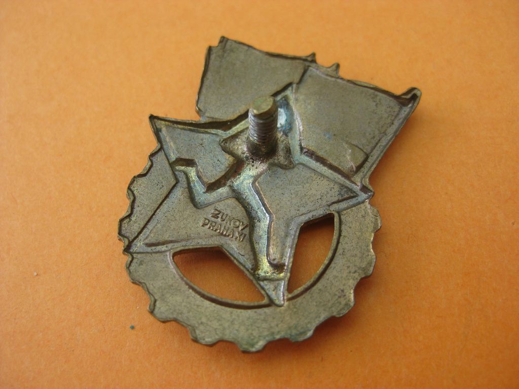 Unbekanntes Abzeichen Orden Ehrenzeichen Sportabzeichen ????