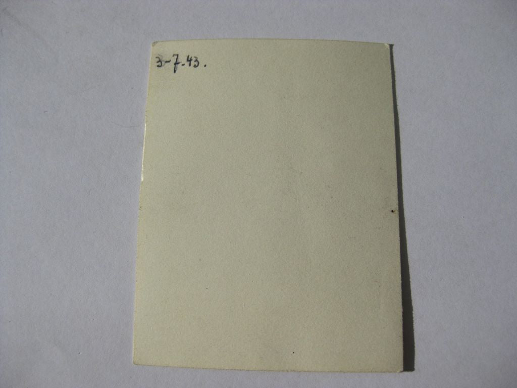 SS Privatfoto LUCIEN LIPPERT Freiwilligen Sturmbrigade Wallonien / Belgien