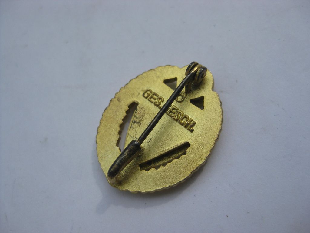 NS-Kriegerbund Ehrennadel für 50 Jahre