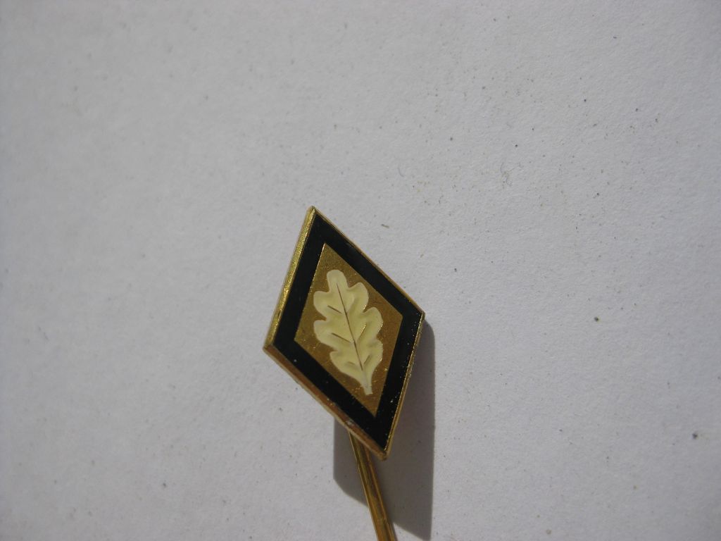 Unbekanntes Regimentsabzeichen Sturmgeschützbrigade