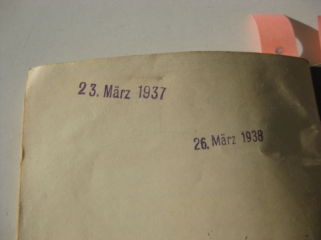 Hitlerjugend (HJ) Leistungsabzeichen in Eisen / Schwarz KOMPLETTES SET MIT Leistungsbuch NUMMERNGLEICH!!!!